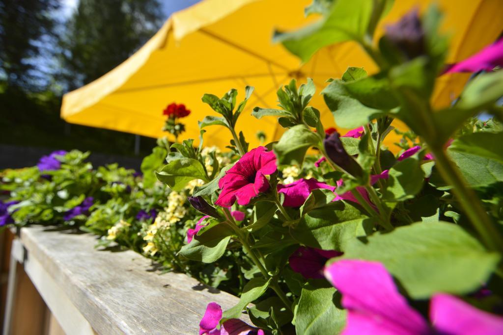 Hotel Diana Seefeld in Tirol Esterno foto